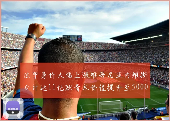 法甲身价大幅上涨维蒂尼亚内维斯合计达11亿欧青木价值提升至5000万