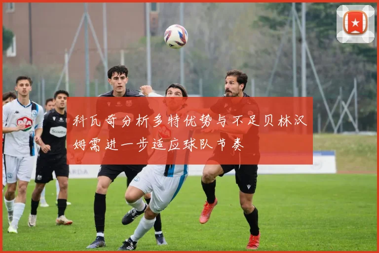 科瓦奇分析多特优势与不足贝林汉姆需进一步适应球队节奏